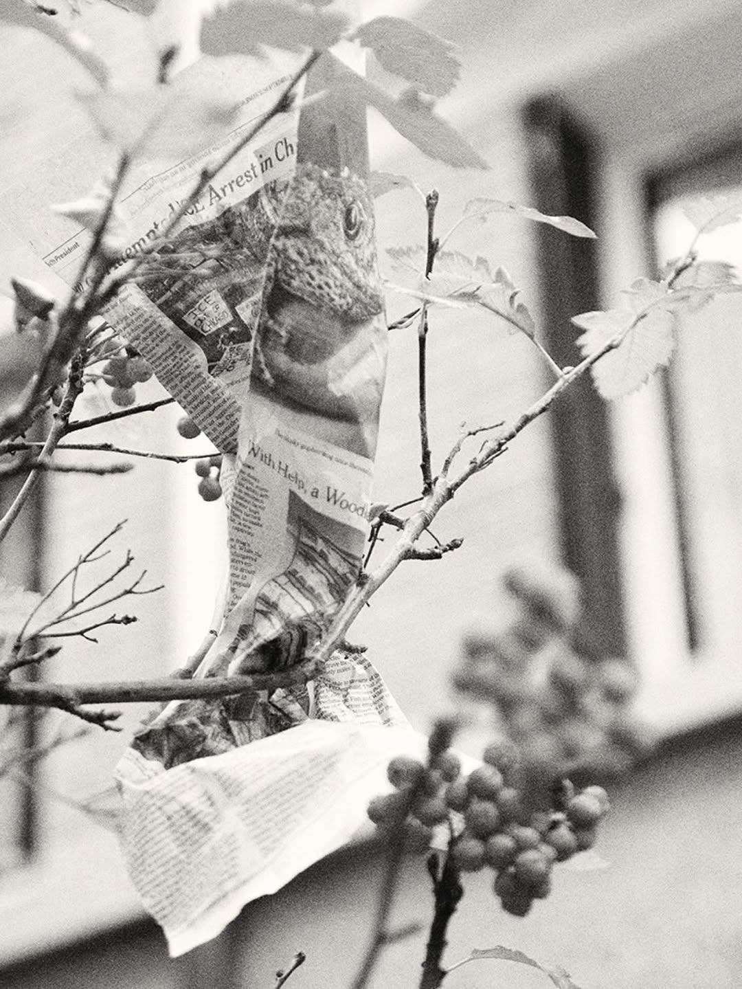 Cecilia Duarte X Vogue Portugal