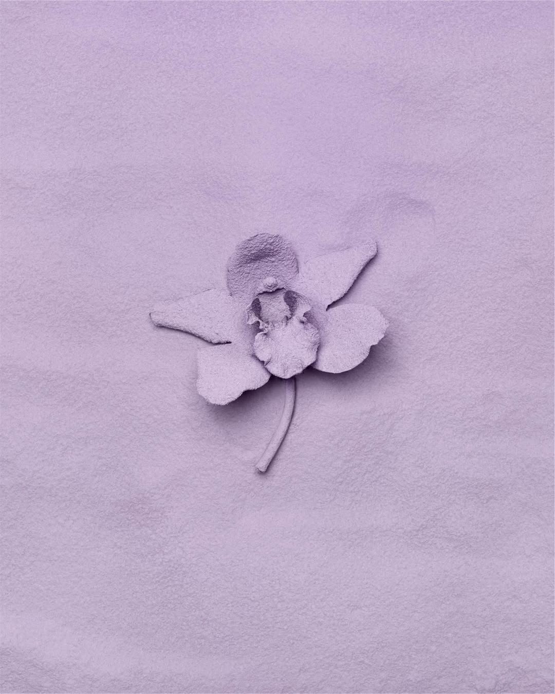 Adriana Roslin X Adolfo Domínguez