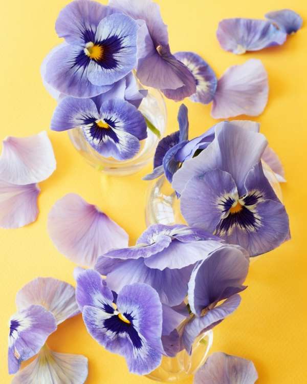 Beth Galton