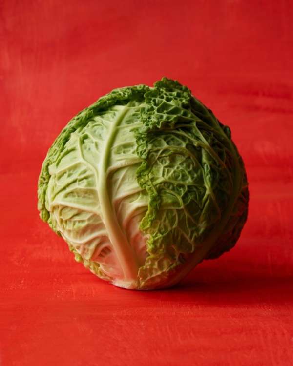 Beth Galton
