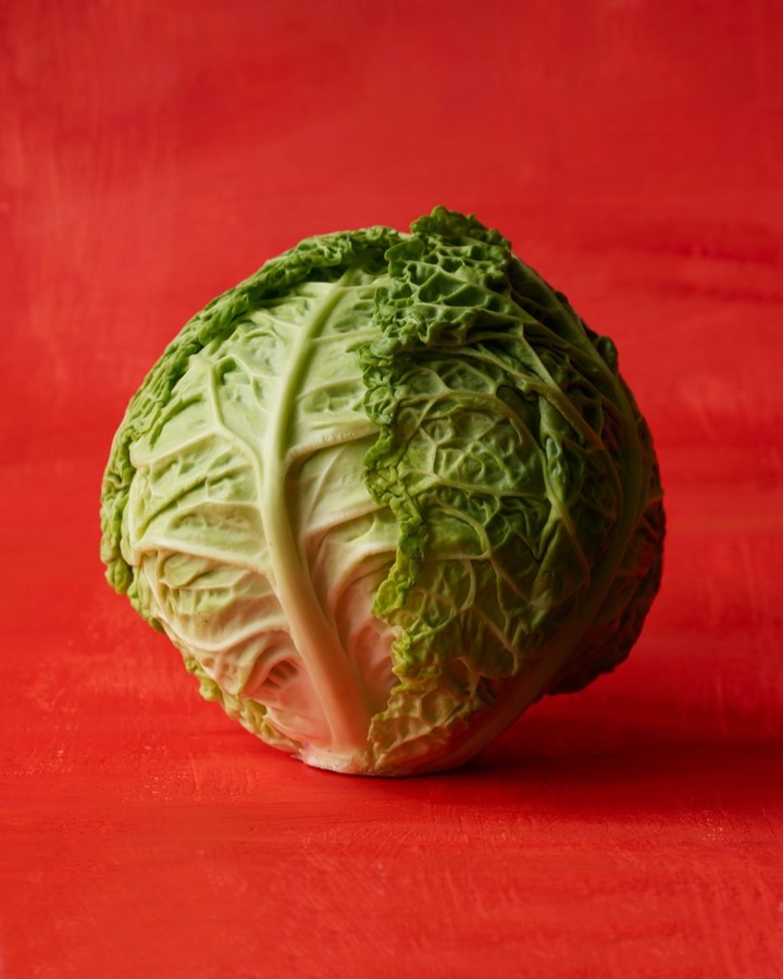 Beth Galton