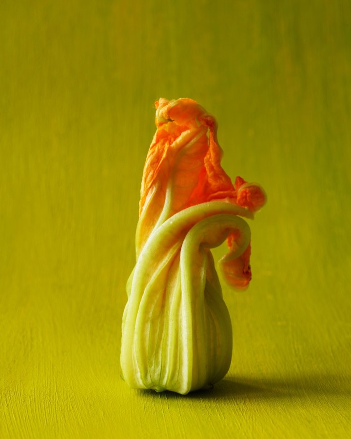 Beth Galton