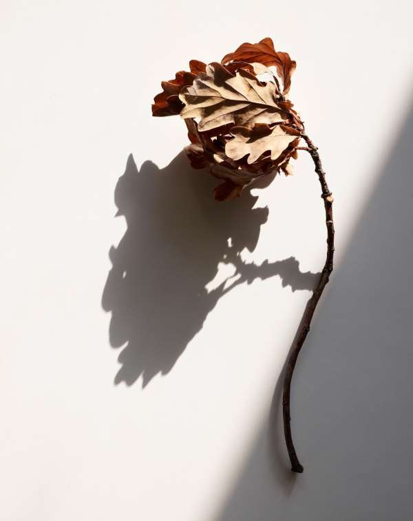 Beth Galton