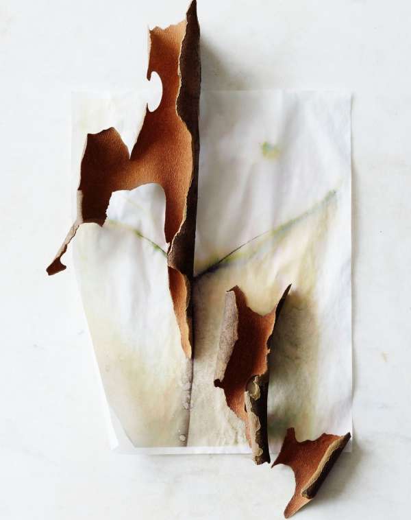 Beth Galton
