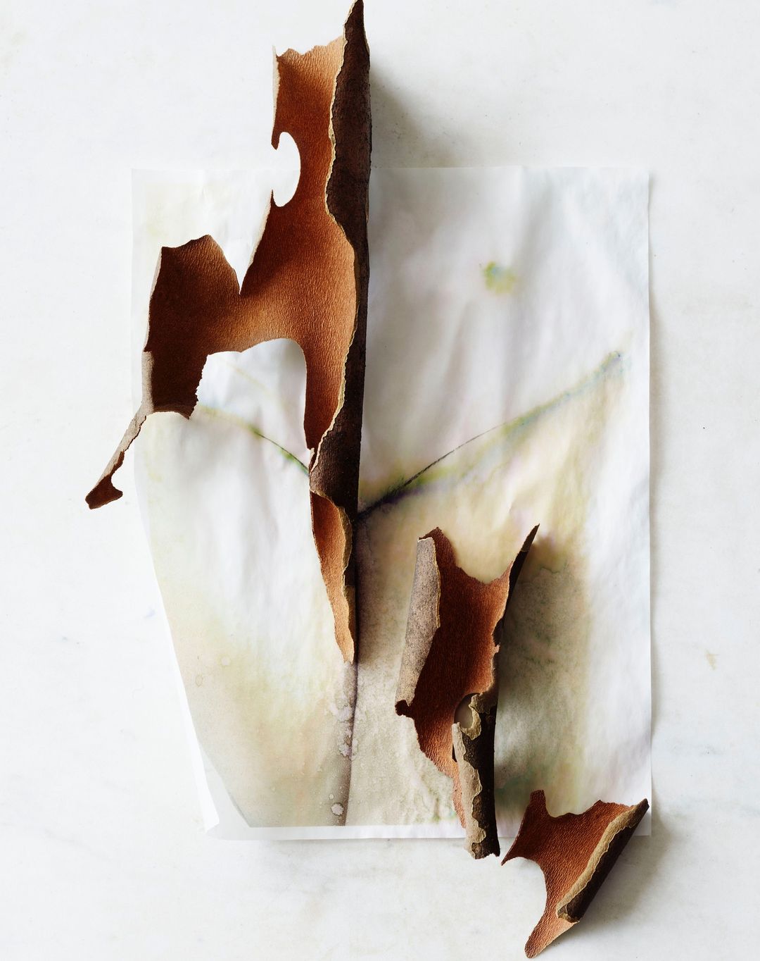 Beth Galton