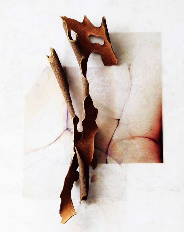 Beth Galton
