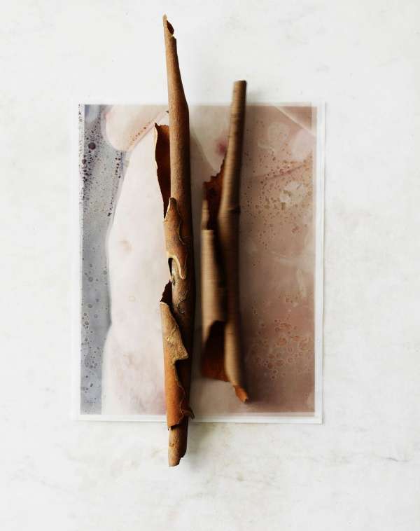 Beth Galton