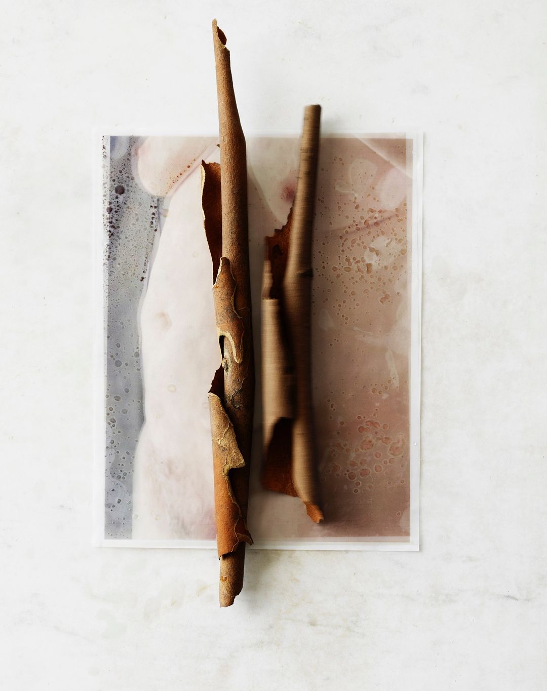 Beth Galton