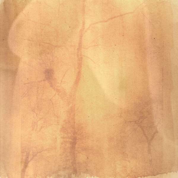Beth Galton
