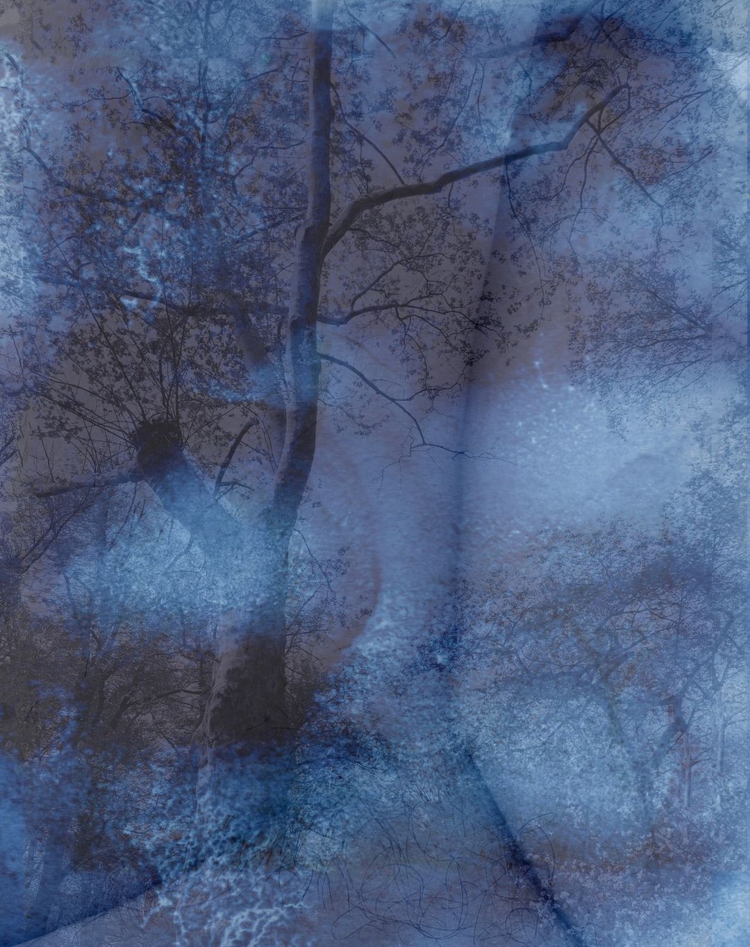 Beth Galton