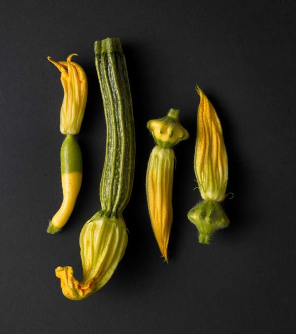 Beth Galton
