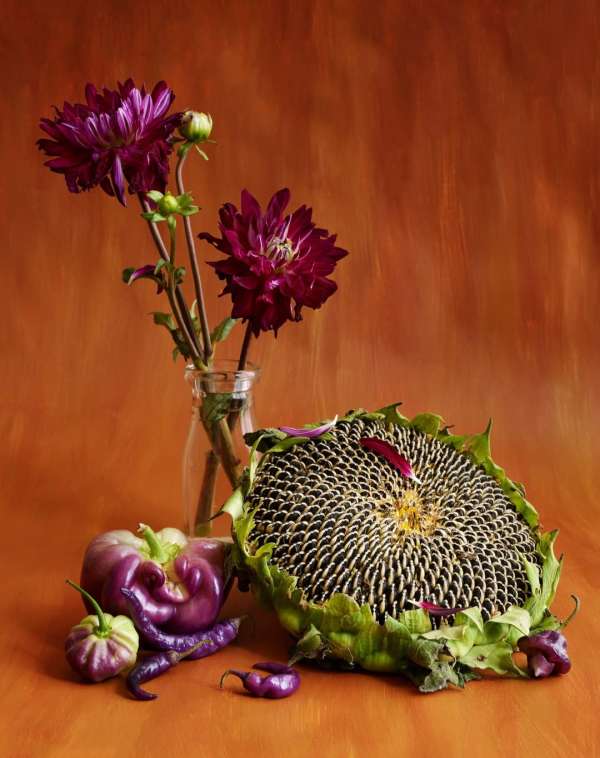 Beth Galton