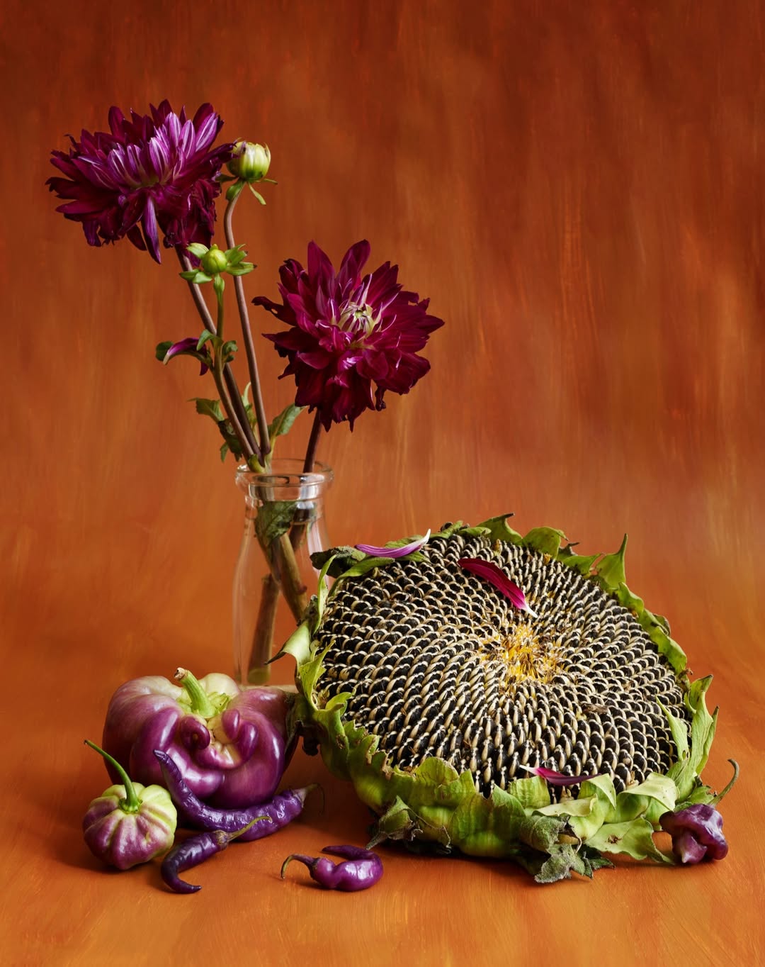 Beth Galton