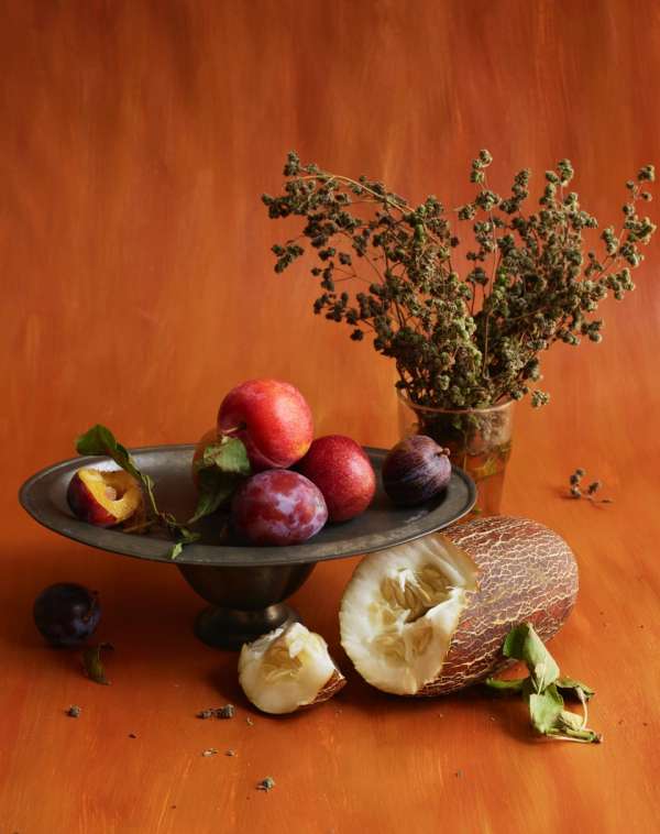 Beth Galton