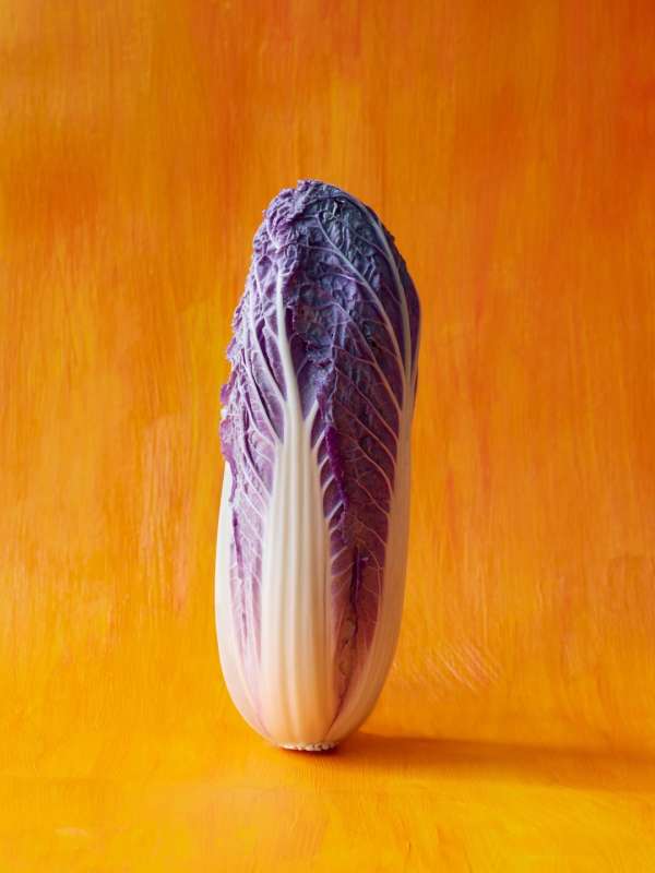 Beth Galton