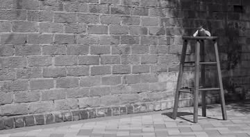 Belle Smith X LE LABO Fragrances Aug. 25