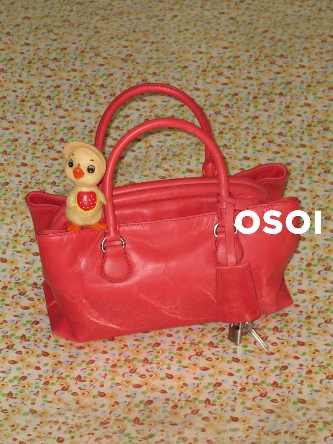 Jamie-Maree Shipton X OSOI Aug. 26
