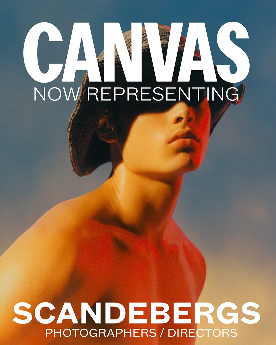 Scandebergs