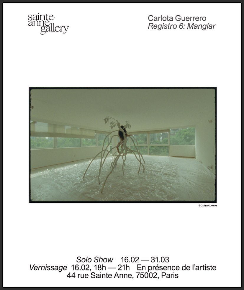 sainte anne gallery |  Jan. 23