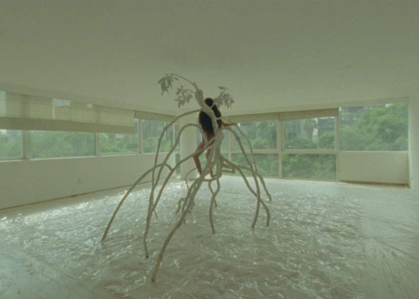 sainte anne gallery |  Feb. 23