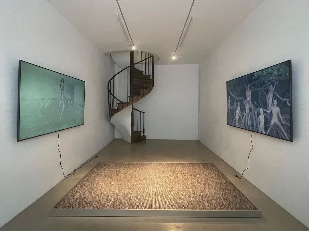 sainte anne gallery |  Feb. 23