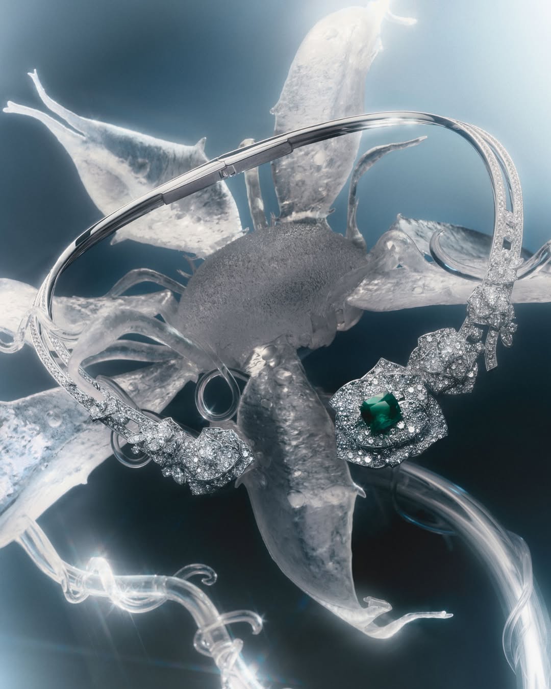 Bolero Magazine |  Mar. 25