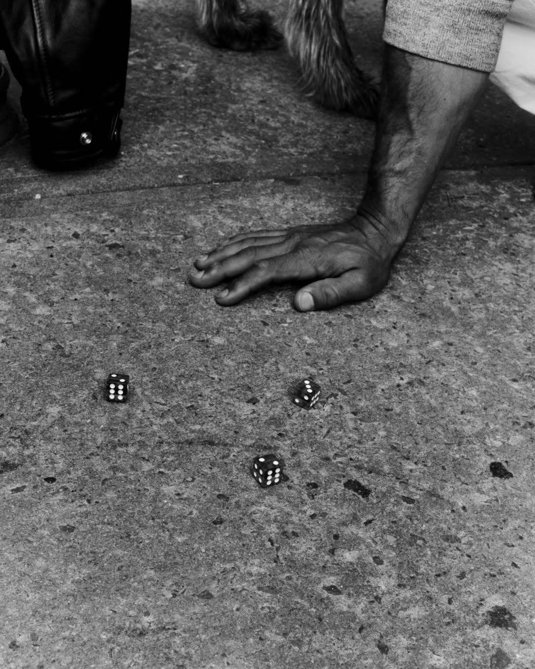 Samuel Bradley X J.Crew