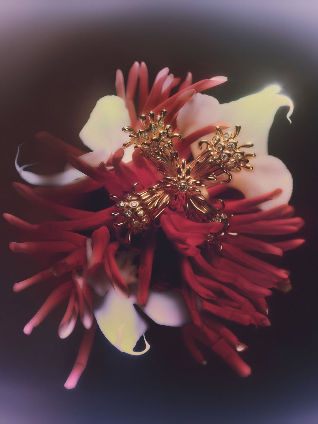 Qiu Yang X Bolero Magazine Mar. 26