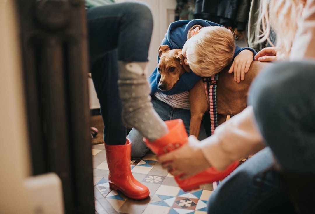 Butcher's Dog Food |  Oct. 19