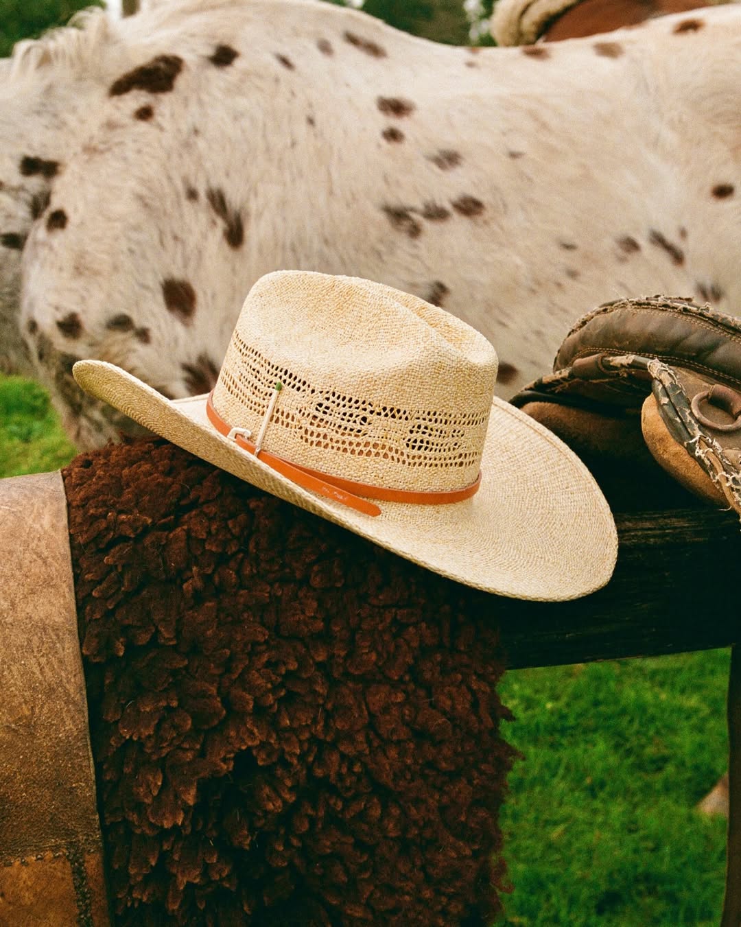 Celine Van Heel X Nick Fouquet