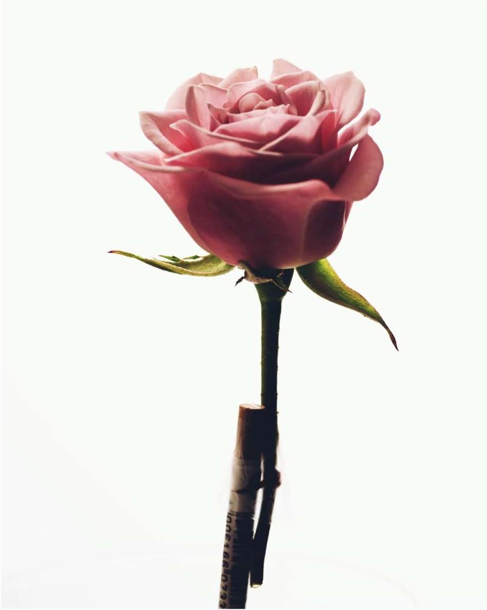 Chanel Farkas Apr. 26