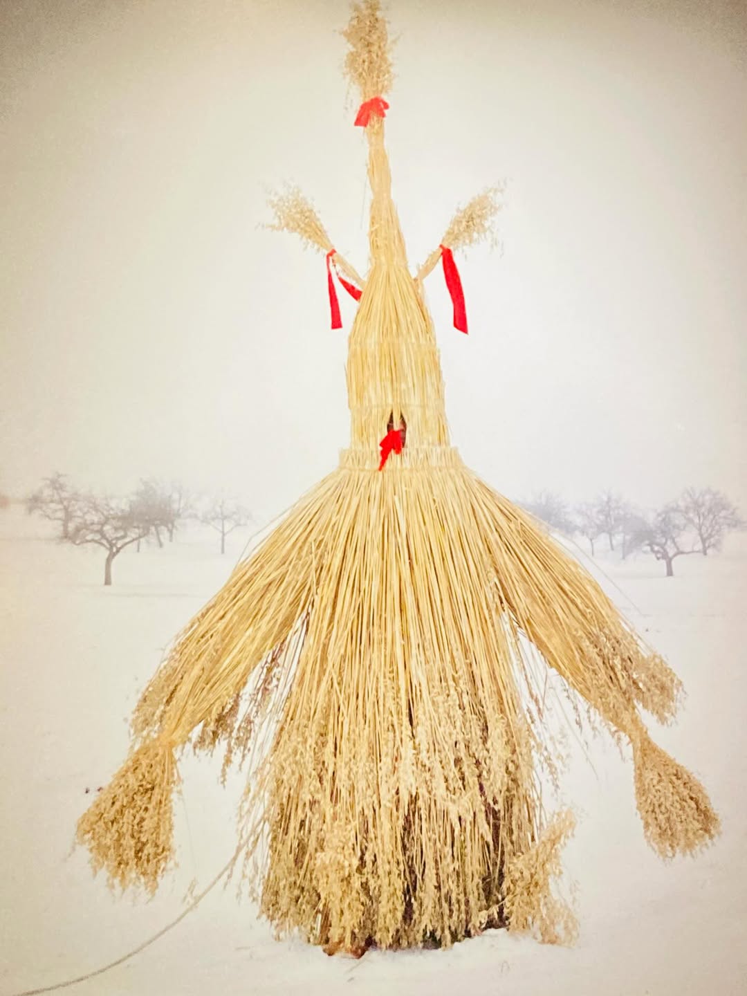 Charles Fréger Nov. 25