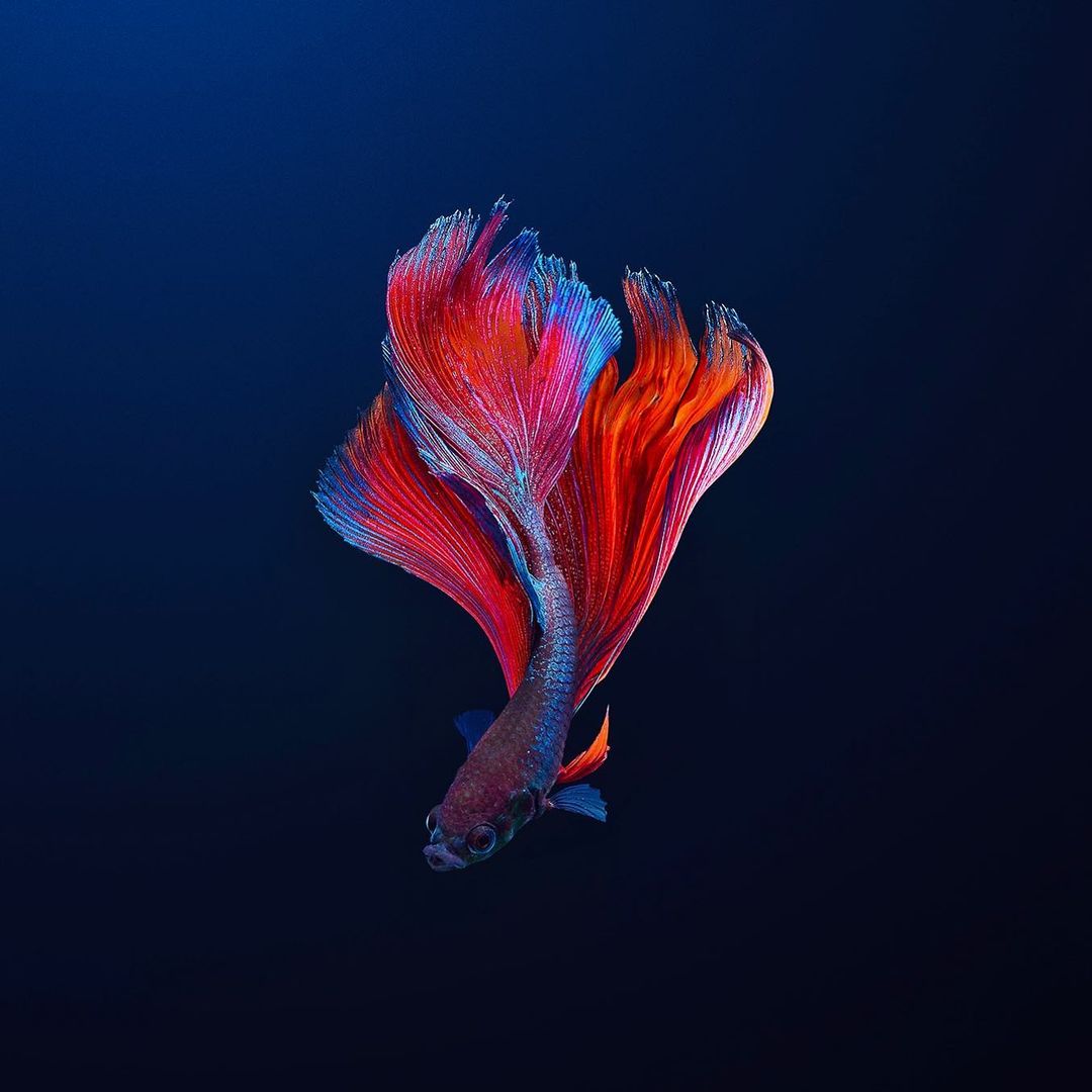 ANOTHER BOUTIQUE |  Oct. 21