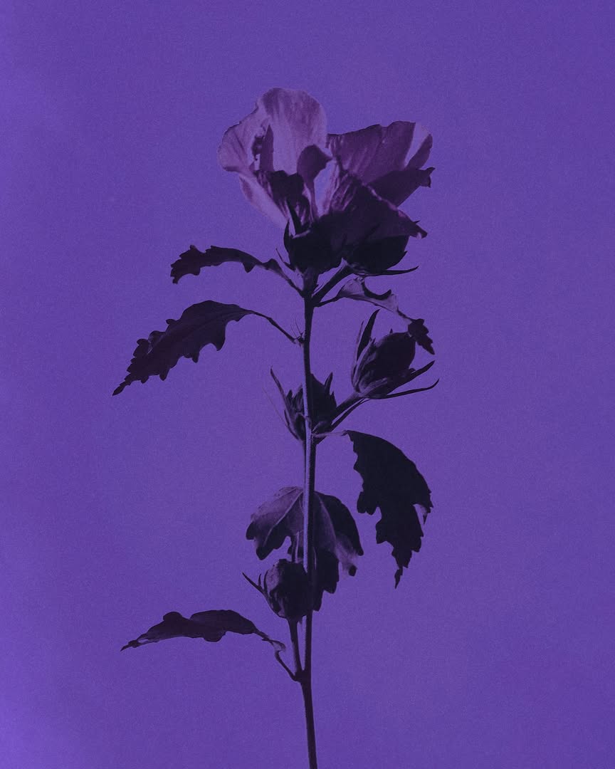 Charlotte Deregnieaux Oct. 25