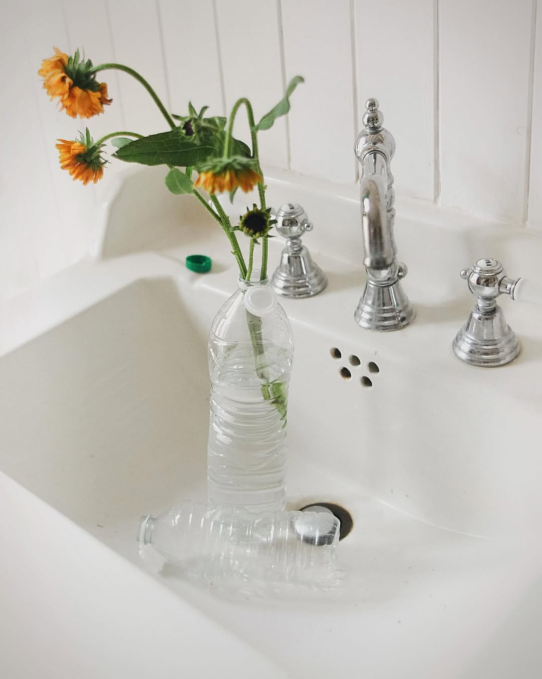 Charlotte Deregnieaux