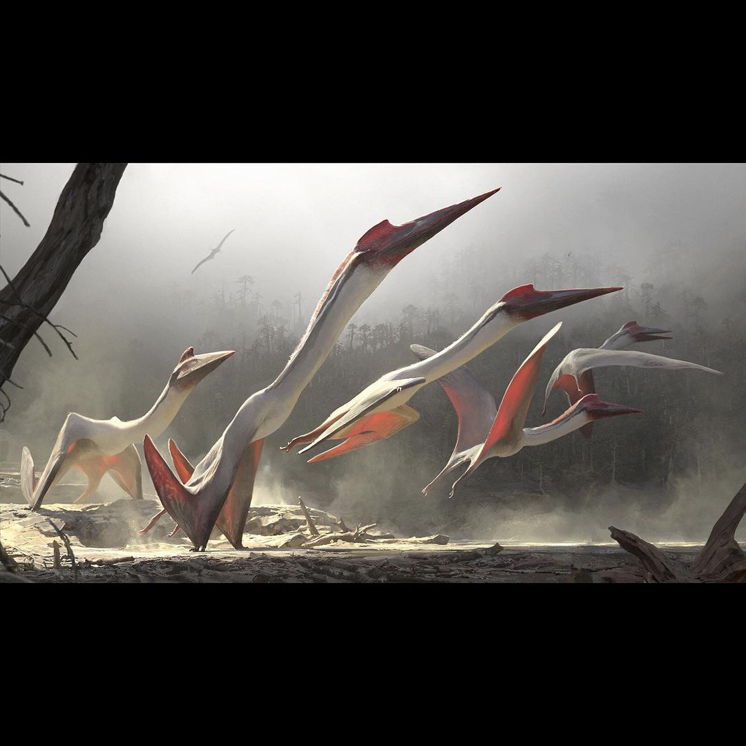 Scientific American Magazine |  Oct. 19