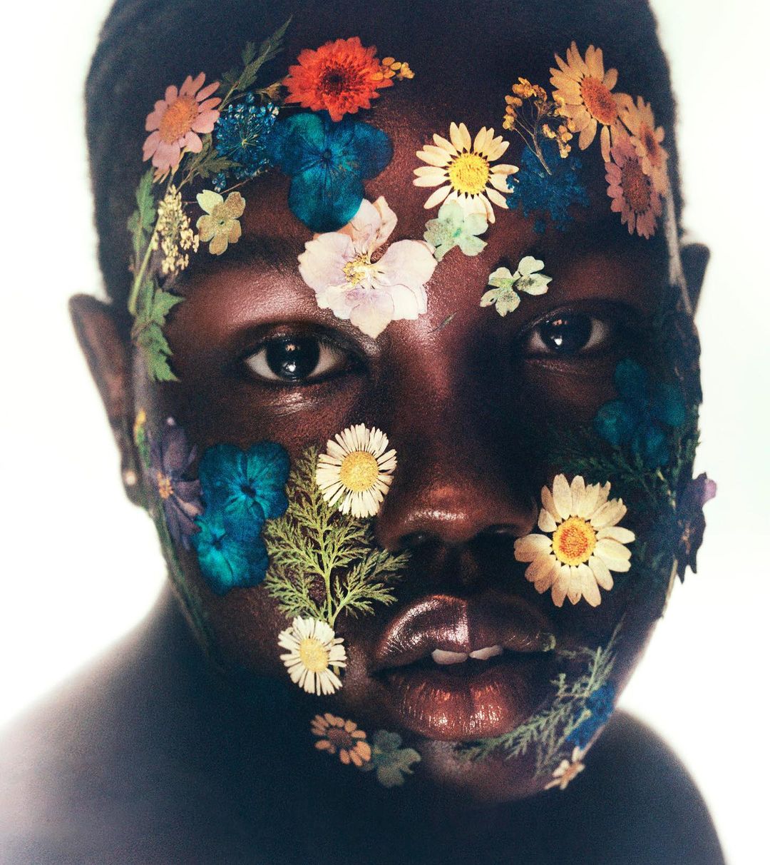 MAY Botanicals |  Nov. 23