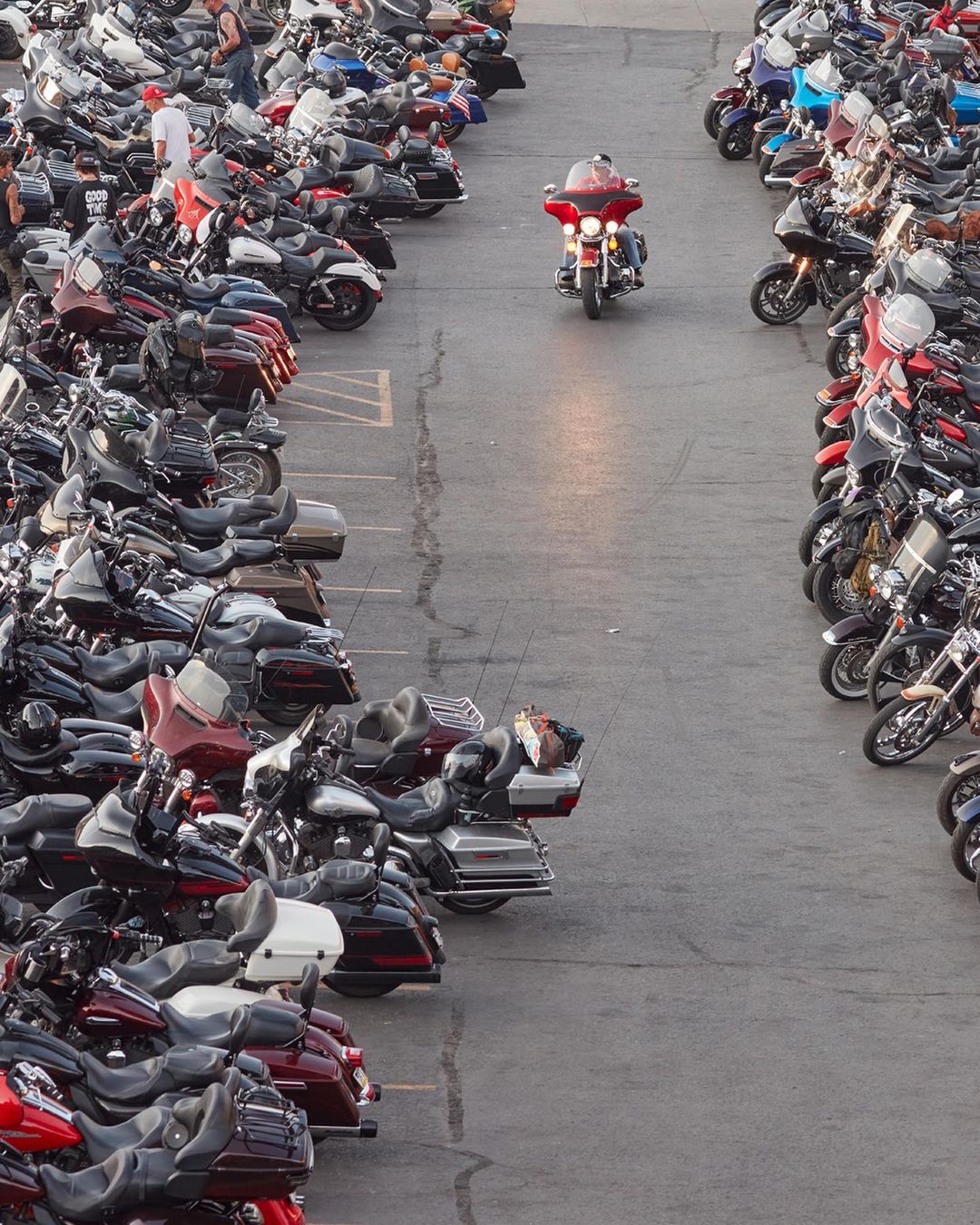 The New York Times Magazine |  Nov. 21