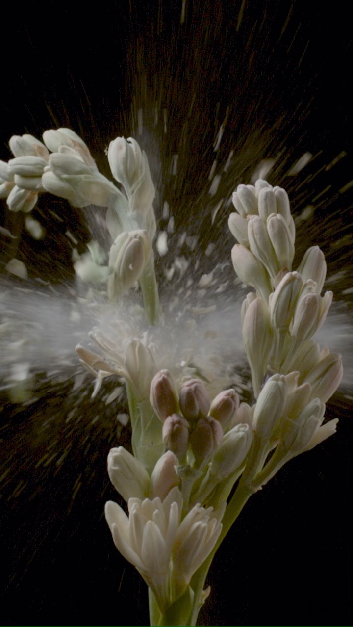 Creed Fragrances |  Nov. 22