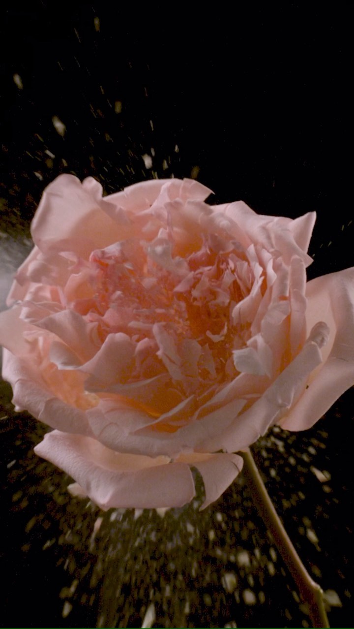 Creed Fragrances |  Nov. 22