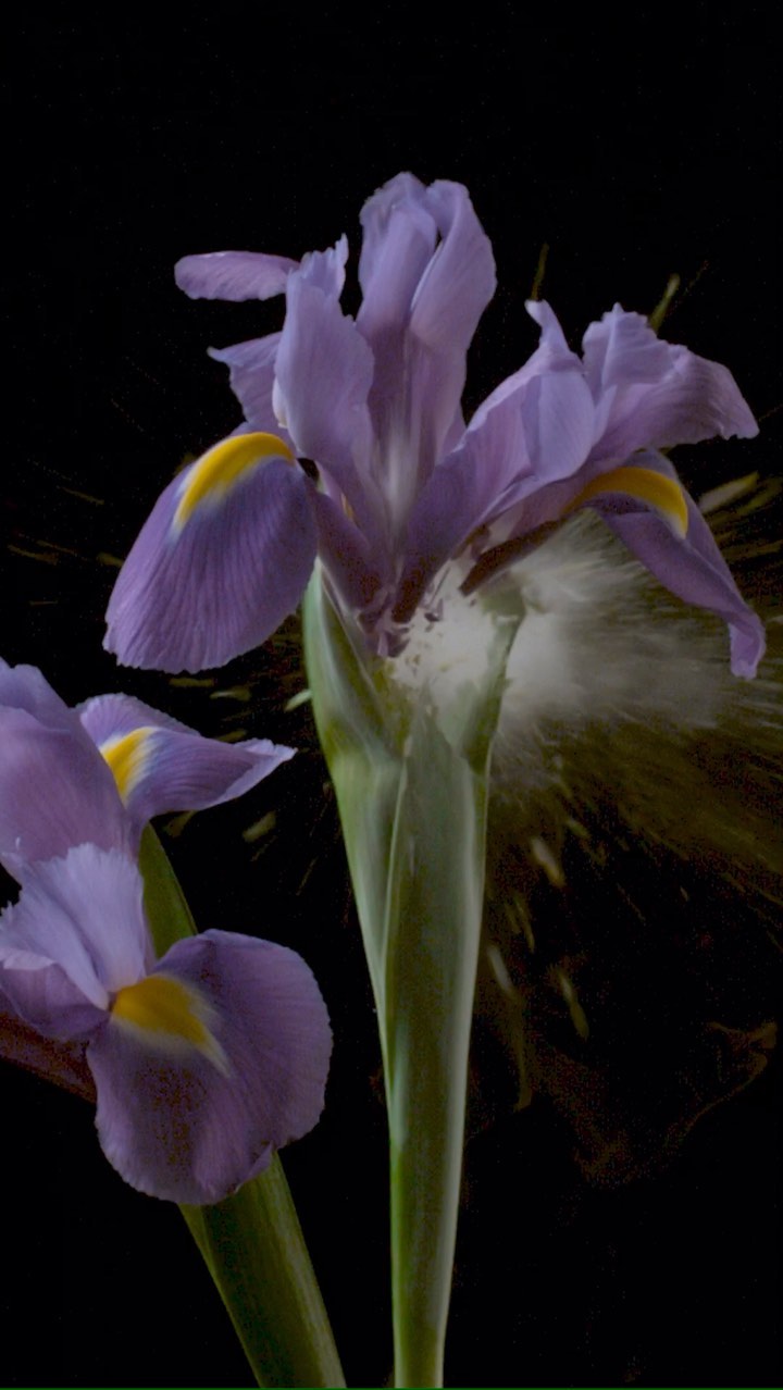 Creed Fragrances |  Nov. 22