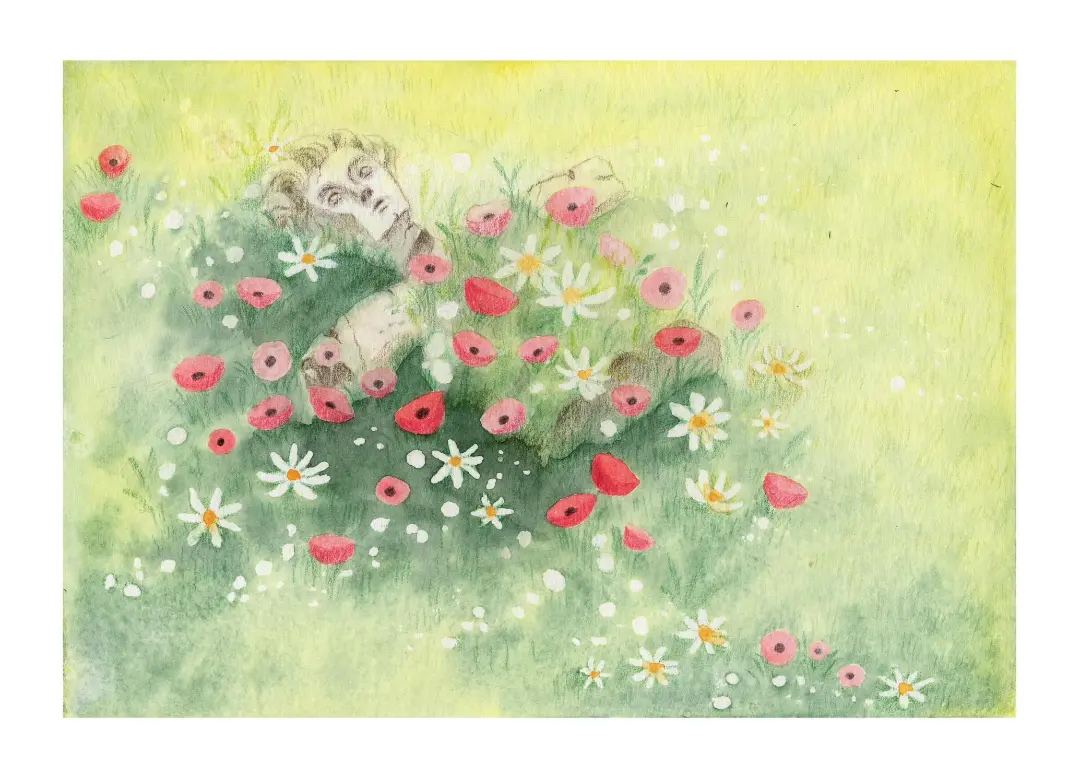 slider image