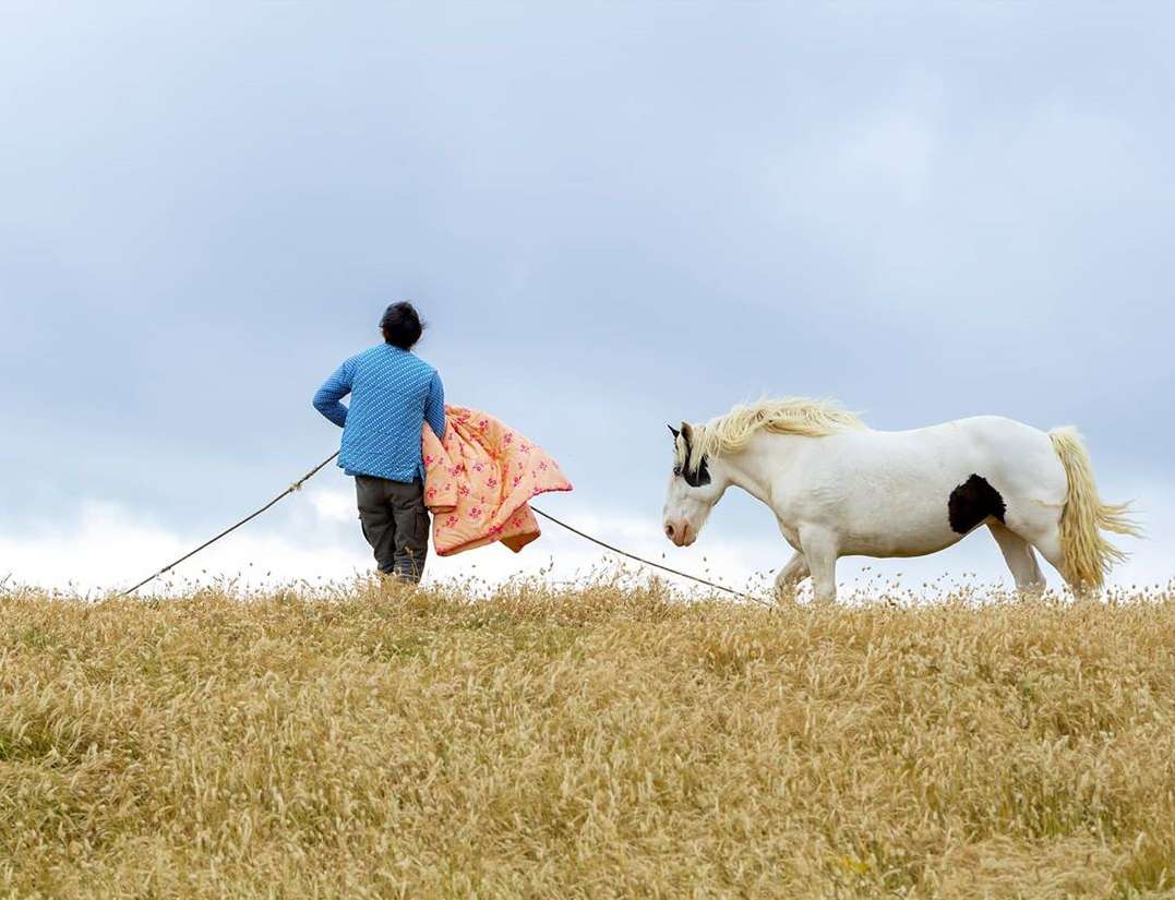 Petit Pan |  Aug. 20