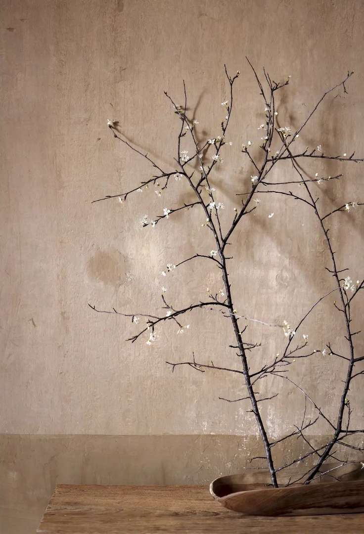 Claire Curt
