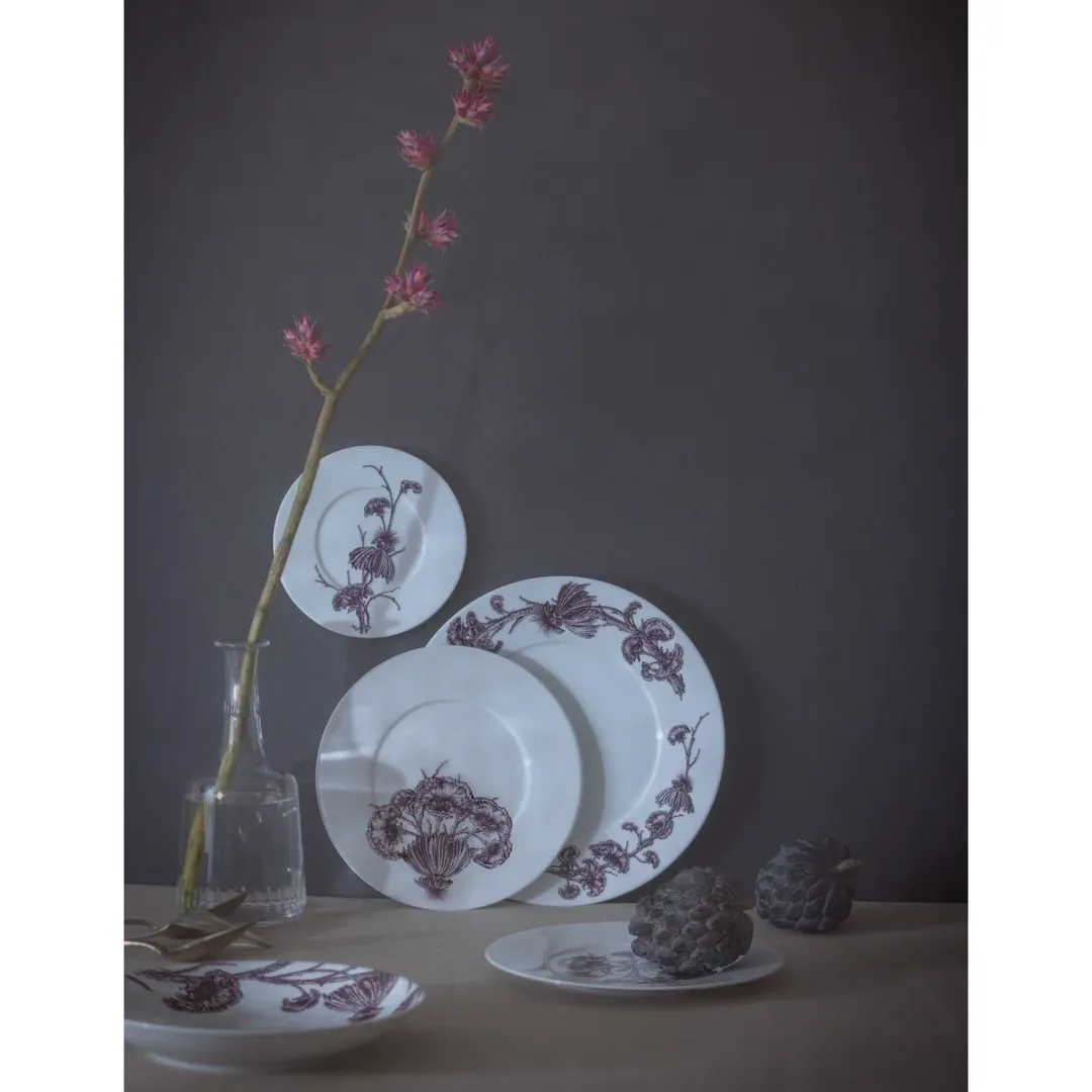 Claire Curt