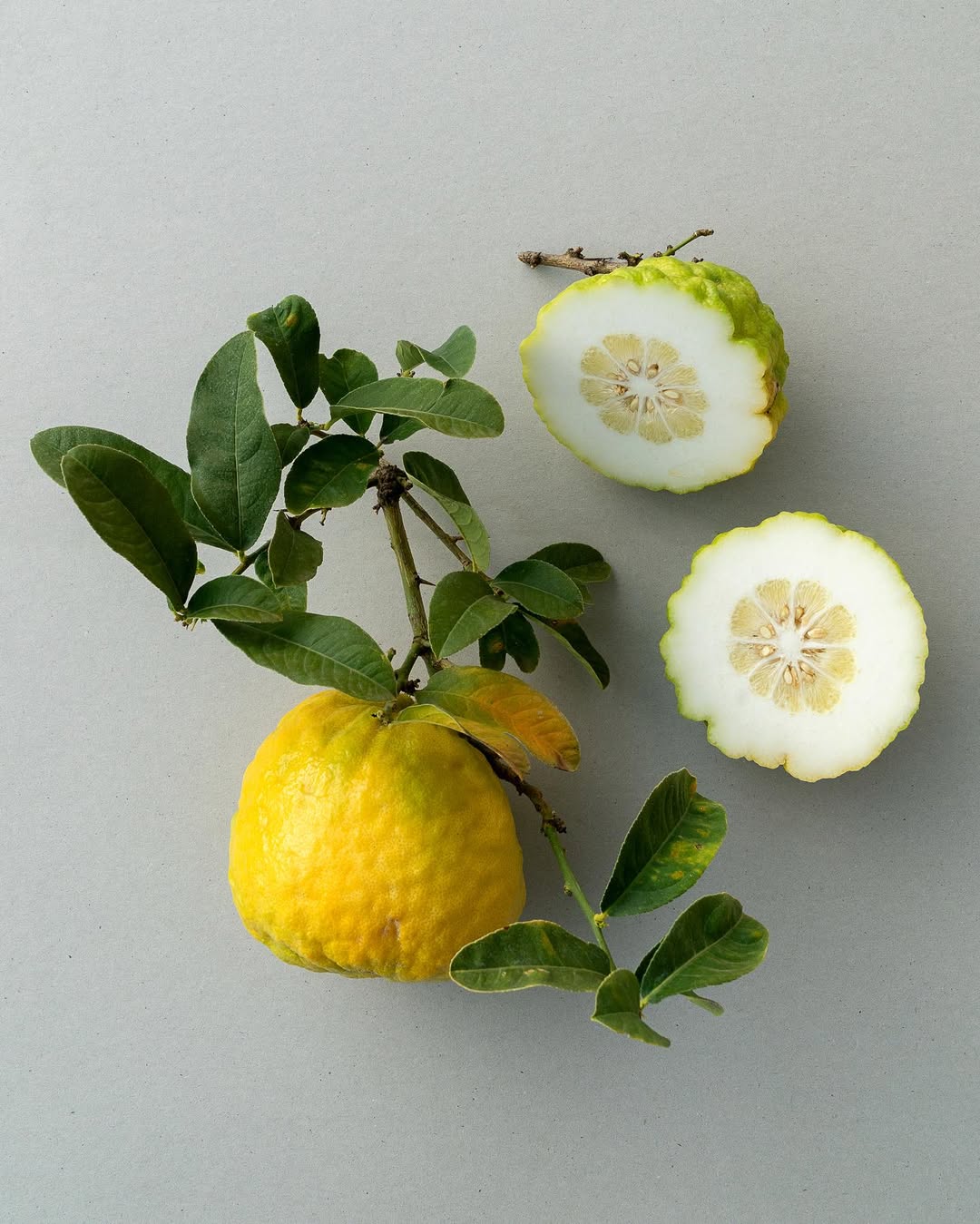 <a href="/claire-curt">Claire Curt</a> <span style="text-transform: none; white-space: nowrap;">Mar. 26</span>