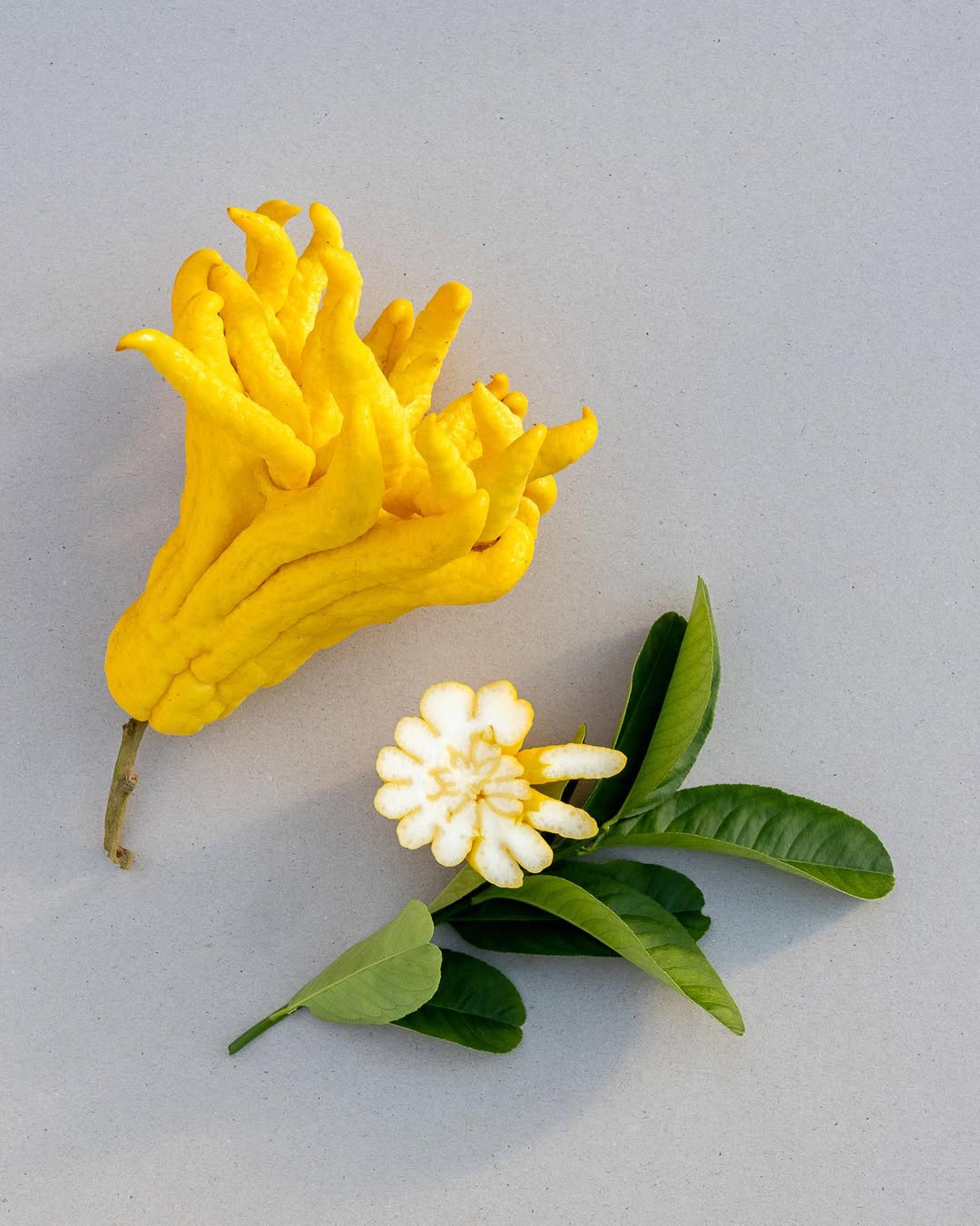 <a href="/claire-curt">Claire Curt</a> <span style="text-transform: none; white-space: nowrap;">Mar. 26</span>