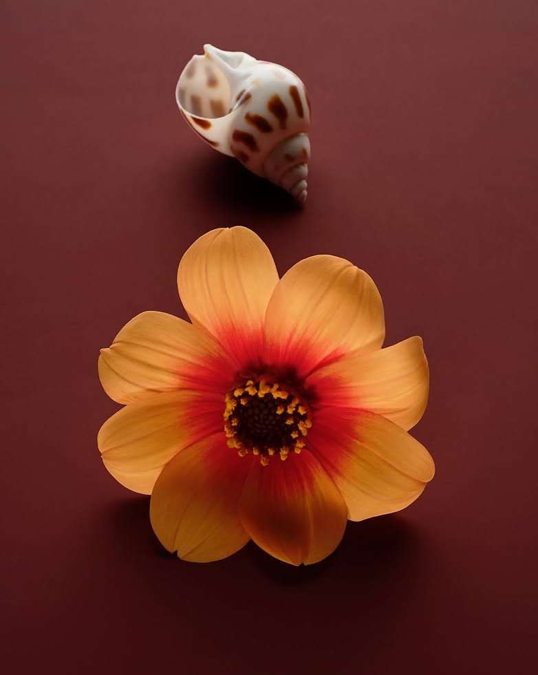 Claire Benoist Oct. 25