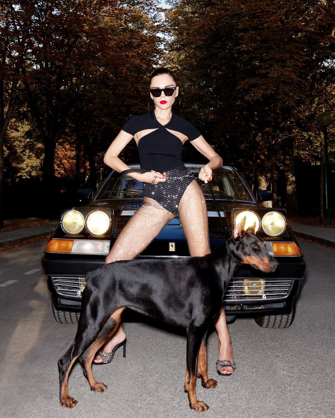 Jacques Marie Mage |  Nov. 22