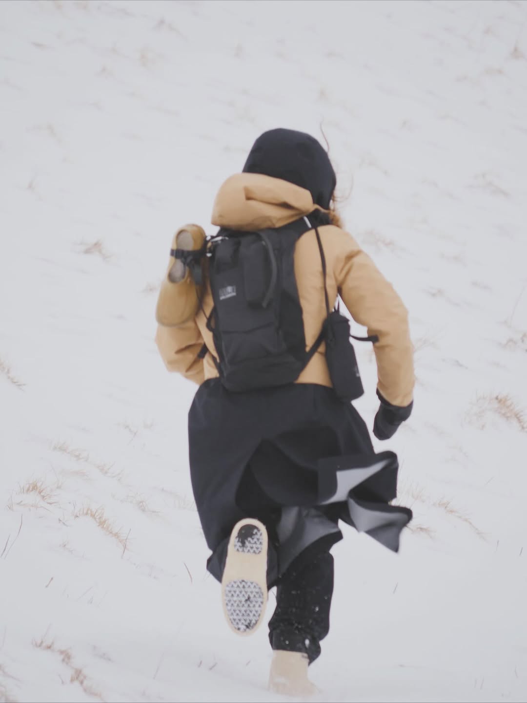 Claudia Knoepfel Nov. 25